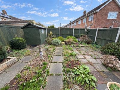 Picture 20